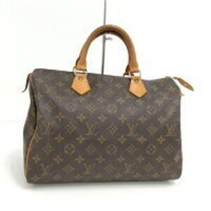 LOUIS VUITTON Speedy Boston Bag Monogram